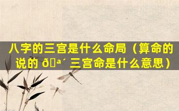 八字的三宫是什么命局（算命的说的 🪴 三宫命是什么意思）